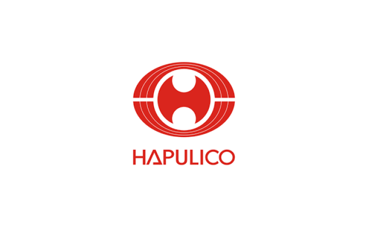 Công bố thông tin doanh nghiệp - BCTC 6 tháng đầu năm 2025