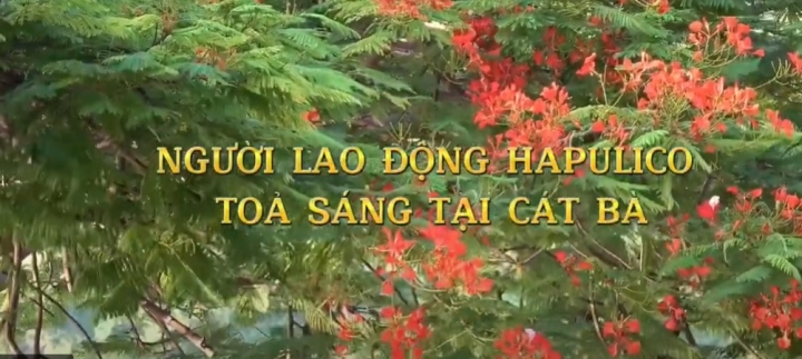 Kỳ nghỉ mát hè 2023 của người lao động Công ty HAPULICO