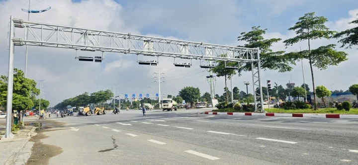 Giá long môn trên Đại lộ Trường Sa