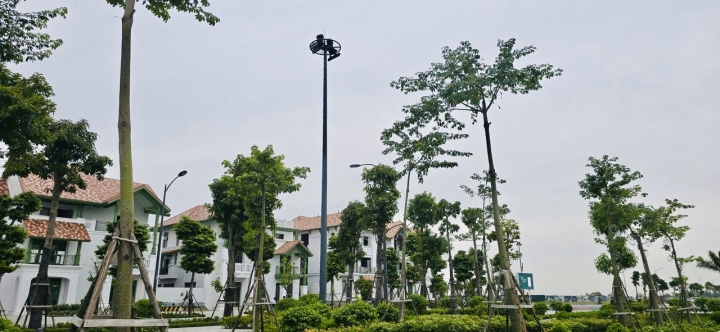 Cột đèn đa giác cao 14m và 25m do HAPULICO sản xuất được lắp đặt tại KĐT Sun Urban City
